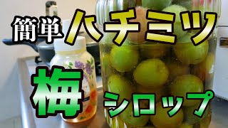 【秒速】ハチミツ梅シロップで梅ジュースを作ろう【簡単】