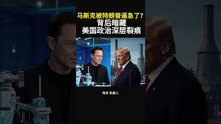 【马斯克被特朗普逼急了？背后暗藏美国政治深层裂痕】#特斯拉股票 #美股 #股哥说美股 #tesla #马斯克 #AI #关税战 #特朗普 #对等关税