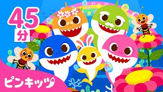 花咲く🌸春のうたメドレー | サメのかぞく | おはなみのうた、サメかぞくの いちにち、ピクニックのうた 他  | 子どもの歌 | ピンキッツ・ベイビーシャーク