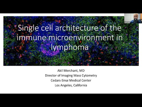 Single cell architecture of the immune microenvironment in lymphoma