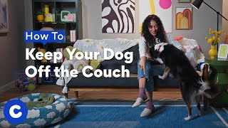 How To Keep Your Dog Off the Couch | Chewtorials