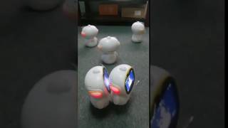 Educational Robot Learning Robot watch this Funny Little Fellows