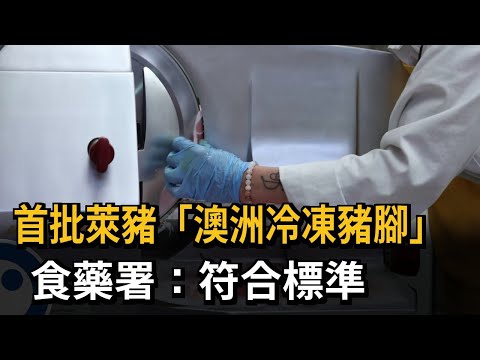 首批萊豬「澳洲冷凍豬腳」　食藥署：符合標準－民視新聞
