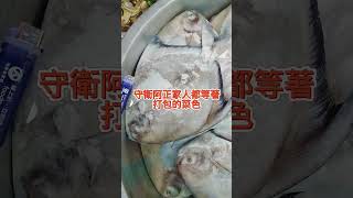 《24年守衛推薦轟動武林的尾牙，阿儒師價值五萬一桌菜色》#年菜  #春酒 #辦桌 #台灣 #流水席 #尾牙 #taiwan #春節 #年菜 #水腳 #台南 #台灣美食 #年菜#總舖師 #台灣旅遊