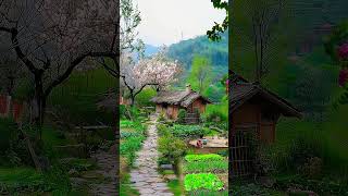 进山戏水，忙里偷闲，乡村间，大自然☘️ #看风景 #风景 #youdontwanttomissout