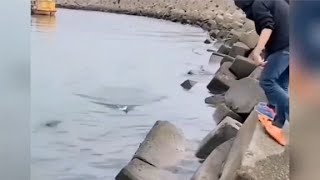 盘点倒霉蛋的搞笑瞬间