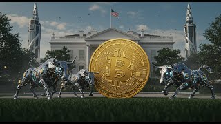 White House Plans New Order to Stop Crypto Debanking