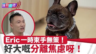 屈臣氏 Wats Petmacy 寵物藥妝呈獻：煉狗術師III｜EP16 Part2｜Eric一時束手無策！好大嘅分離焦慮呀！｜Eric Ko｜鄺芷凡｜柴犬｜HOY｜HOYTV