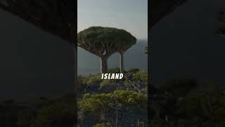 The Most Mysterious Islands on Earth – Science Can’t Explain!#MysteriousIslands #Unexplained
