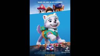 is everest ice snow ready to go paw patrol team paw patrol happy everest and cute