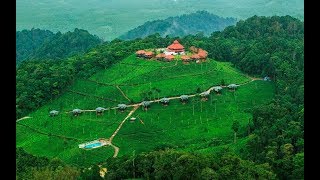 Wildplanet Luxury Resort