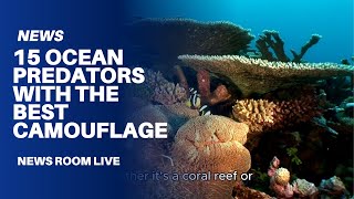15 Ocean Predators With the Best Camouflage