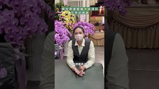 禮儀嚮導工作甘苦談
