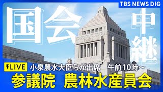 【国会LIVE】参議院・農林水産委員会　小泉進次郎大臣出席（2025年6月10日）｜TBS NEWS DIG