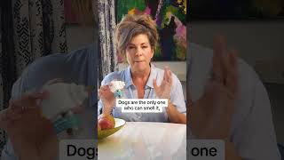#fyp #puppy #petdog #viral #nyc #lovepetsusa #foryoupage