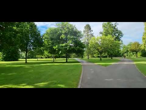 morning walk sunny park