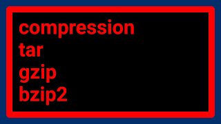 Between xz, gzip, and bzip2, which compression algorithim is the most efficient?