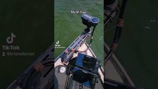 My lil Tree that Sparkles and Shines on #Lowrance #ActiveTarget #shorts