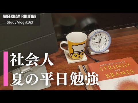 【社会人勉強Vlog】夏の社会人在宅勤務・勉強記録 #163