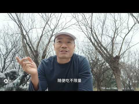北方人适合来昆明吗？为什么气候四季如春，却不适宜养老久居