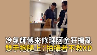 黃金獵犬狂搗亂！雙手抱冷氣師傅腿上XD