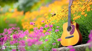 Instrumental Music Gives You A Refreshing Feeling - Guitar Music Helps Internal Relaxation