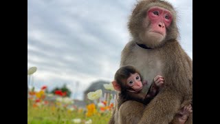 【子育て記録】ママのひとりごと