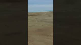 🇯🇵Tottori Sand Dunes #tottori #sand #japan #sushi #ramen #travel #fuji #sanddune