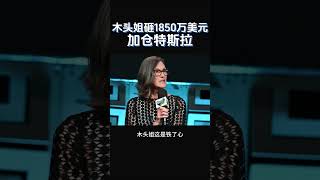 【木头姐砸1850万美元加仓特斯拉！】#特斯拉股票 #美股 #股哥说美股 #tesla #马斯克 #AI #关税战 #特朗普 #对等关税