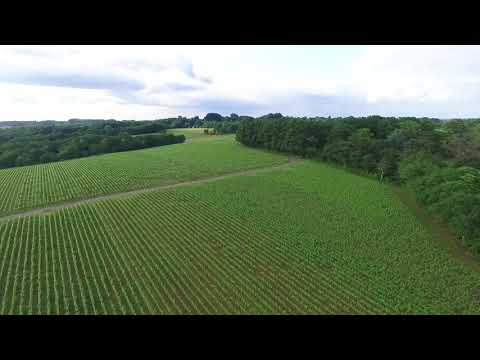 2018 le cellier #1.