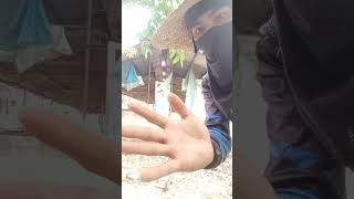 magic tricks muna Ang mananabas#magic #magictricksvideos