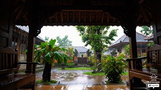 1 Hour of Relaxing Rain Sounds in Traditional Javanese House | #RainSounds #JavaneseRain #SleepRain