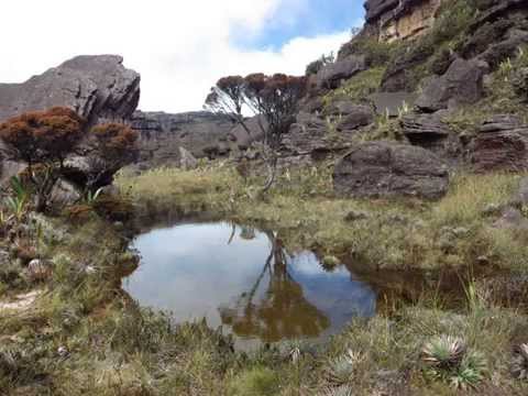 RORAIMA TEPUY (Foto vídeo) - Diciembre 2014