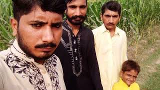 mQASIM