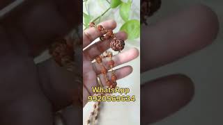 Savan special offer... Rudraksha Mala with big size Nepali Rudraksha WA 9920569634