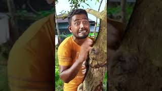 Funny #shorts #shortsvideo #shortsfeed #shortsyoutube #shortsbeta #shortsvideos #shortsviral 2:30PM