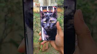 IQOO 13 Camera Test 🔥
