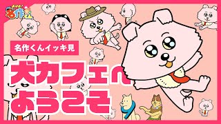 【イッキ見】犬カフェへようこそ【あはれ！名作くん】