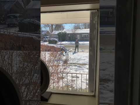 Snowball fight with dadda #snow #snowballfight #twins #thingstodowithkids