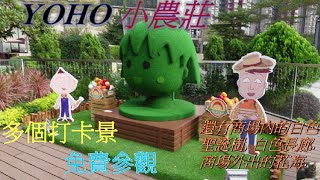 元朗Yoho 小農莊, 多個打卡景, 親子活動好去處 3 (小丸子, 南瓜長廊, 太陽花🌻, 仙人掌, 花卉🌷🌿等等.) 商場內(白色聖誕樹, 白色長廊.) 商場外(花海.) #三識貓 #espcat