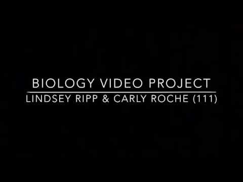 Assembly of the Lipid Bilayer, and Formation of Closed Vesicles, Organelles, and Cells (BIOS 041)