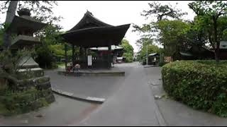 世界遺産の景色！【三保松原】Feel trip MaTaTaBi 360°