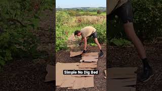 Simple No Dig Bed #nodig #kitchengarden #permaculture #foodforest