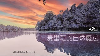 【Hiking in Singapore, Natural Wonders】 The Natural Magic of MacRitchie, MacRitchie Reservoir