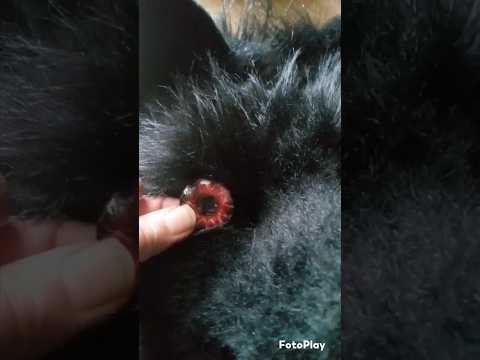 turned a cute dog mask into a hellhound (in 3 easy steps)