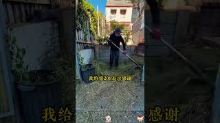 情商 #认知 #思维 #格局