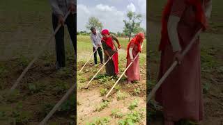 Jay Rajasthan #farming #farming #farming_zone #video #rajasthanisong #reels #marvel