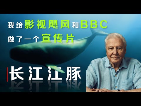 巨制！當“影視颶風Tim”聯合“BBC”做了一集保護長江江豚的紀錄片...【乔治出发】