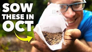 You Must Sow These Seeds in October