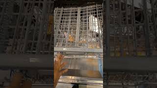 Elica chimney HOB best price call you back contact number  8446819332